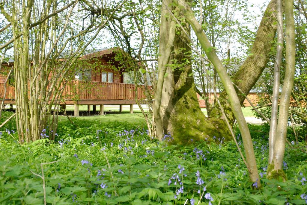 South Winchester Lodges