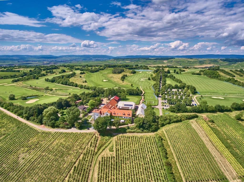 Hofgut Wißberg - Das Weinberghotel